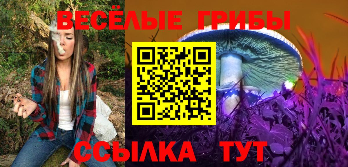 Галлюциногенные грибы Psilocybe Заречный