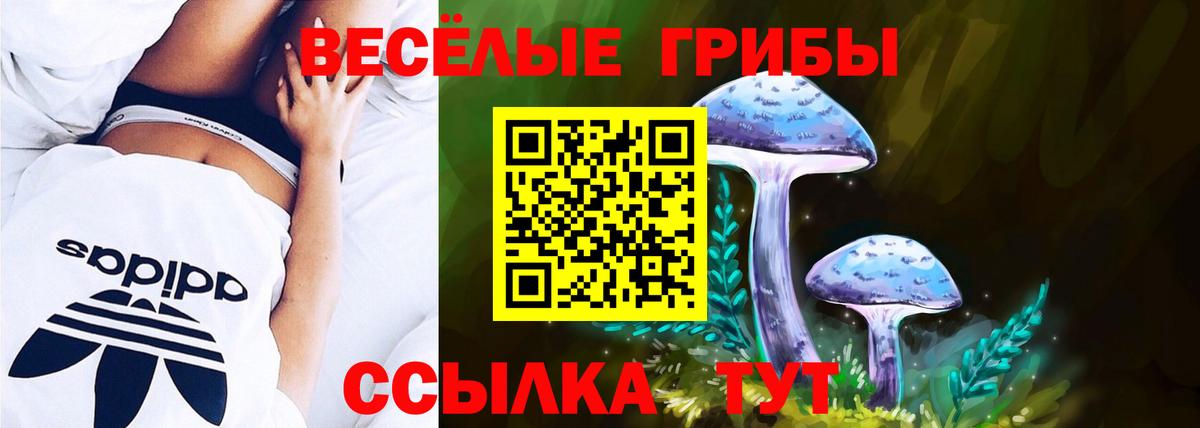 Псилоцибиновые грибы мухоморы  Вход с VPN  Заречный 